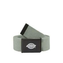 Dickies - Orcutt Webbing Belt