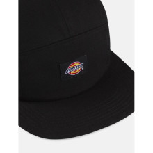 Dickies Albertville Baseball Cap