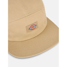 Dickies Albertville Baseball Cap