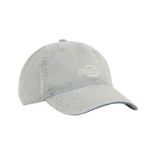 Dickies Dad Baseball Cap