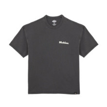 Dickies - Slayden mid weight garment dye